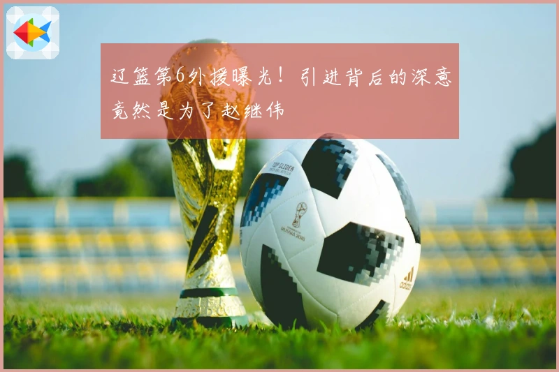 辽篮第6外援曝光！引进背后的深意竟然是为了赵继伟