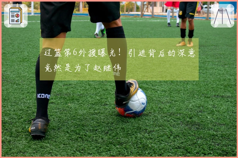 辽篮第6外援曝光！引进背后的深意竟然是为了赵继伟